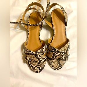 LOFT Snakeskin Pattern block heeled Sandals with Chic Circular Heel